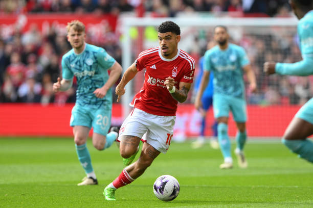 林狼就因为 林狼就因为